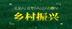 乡村振兴